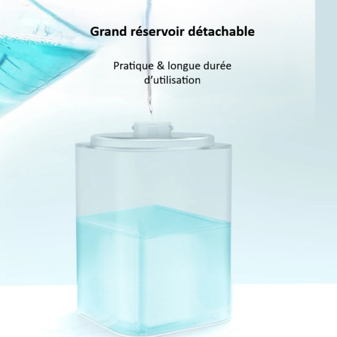 Distributeur automatique de savon